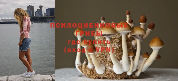 PSILOCYBIN Нефтекумск