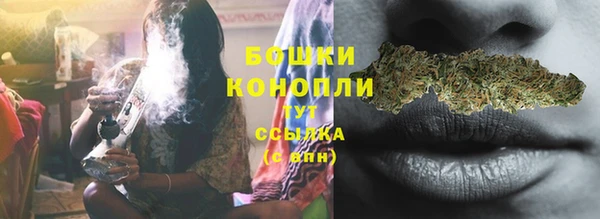сатива Новодвинск