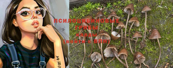 PSILOCYBIN Нефтекумск