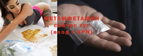 сатива Новодвинск