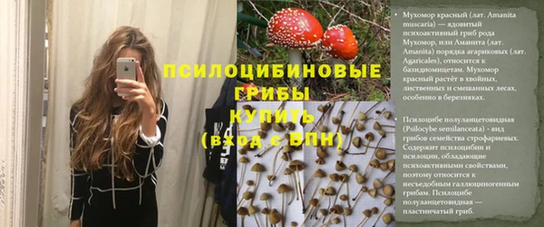 крисы Нея