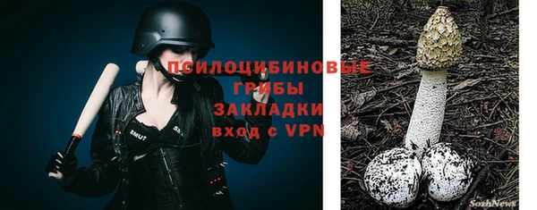 Альфа ПВП Бутурлиновка