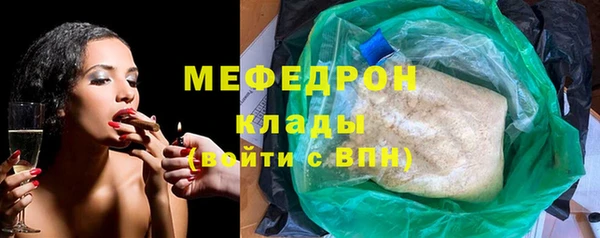сатива Новодвинск