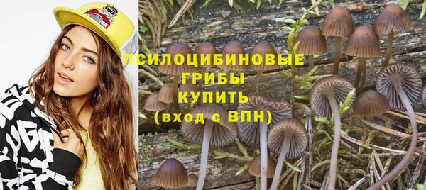 PSILOCYBIN Нефтекумск