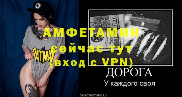 сатива Новодвинск